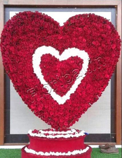 Bade Dil Wala (2000 Red Roses Heart)