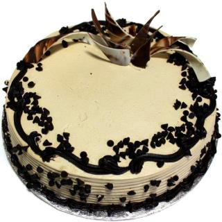 Choco Chip Cream Cake