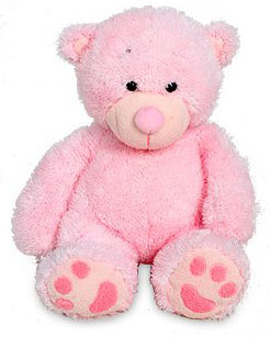 Cuddly Teddy Bear 