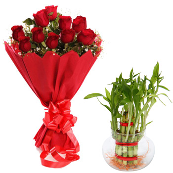 12 Red Roses bunch with Lucky Bamboo